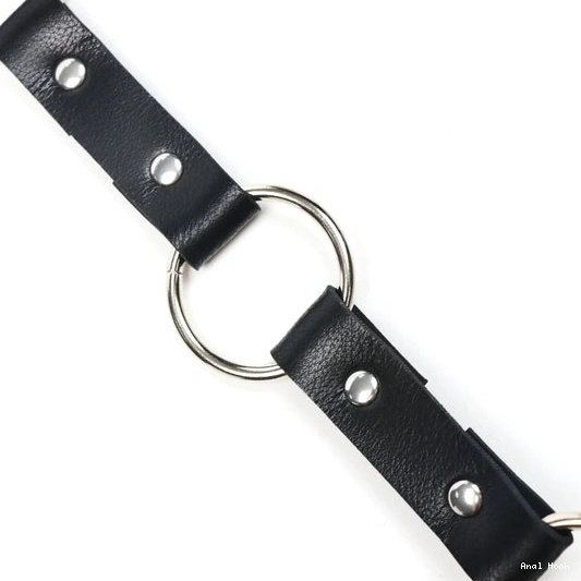 Collar 5853 EverydayUse Kinky and Leash Anal with Hook 1028